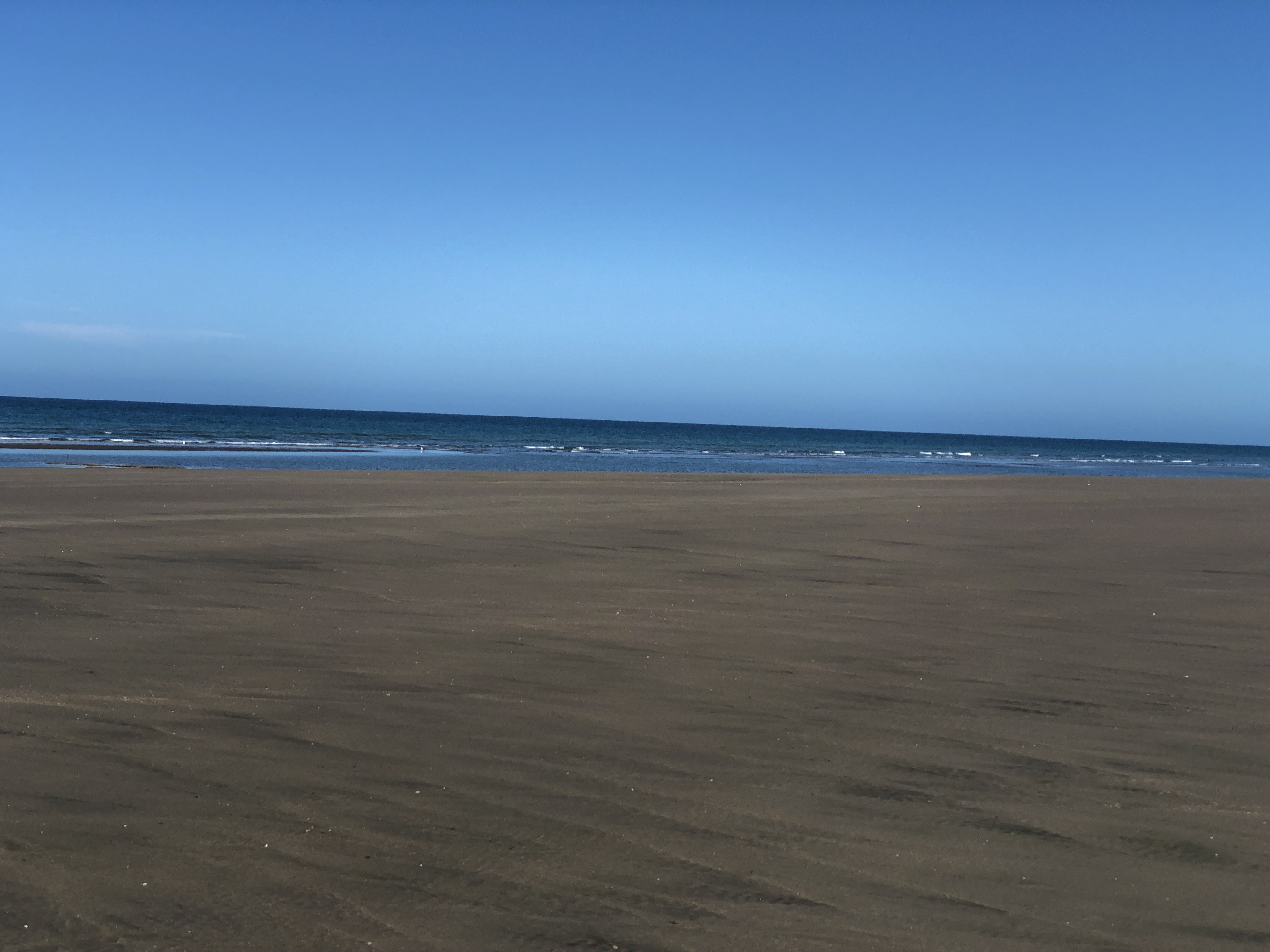 20190114_135130005_iOS